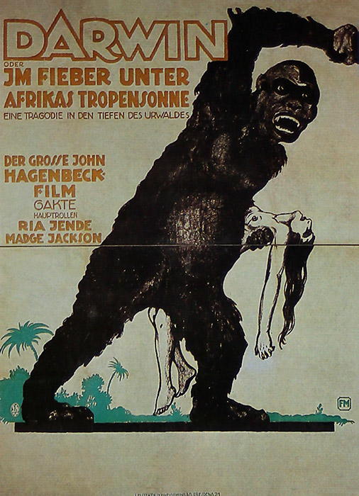 Plakat zum Film: Darwin - Im Fieber unter Afrikas Tropensonne