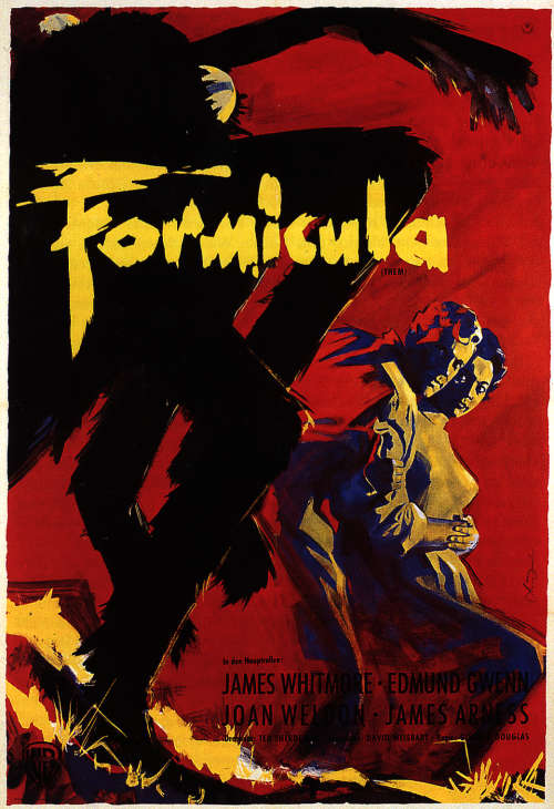 Plakat zum Film: Formicula