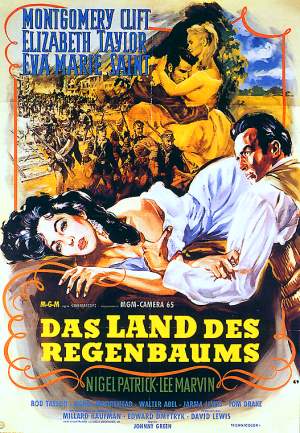 Plakat zum Film: Land des Regenbaums, Das