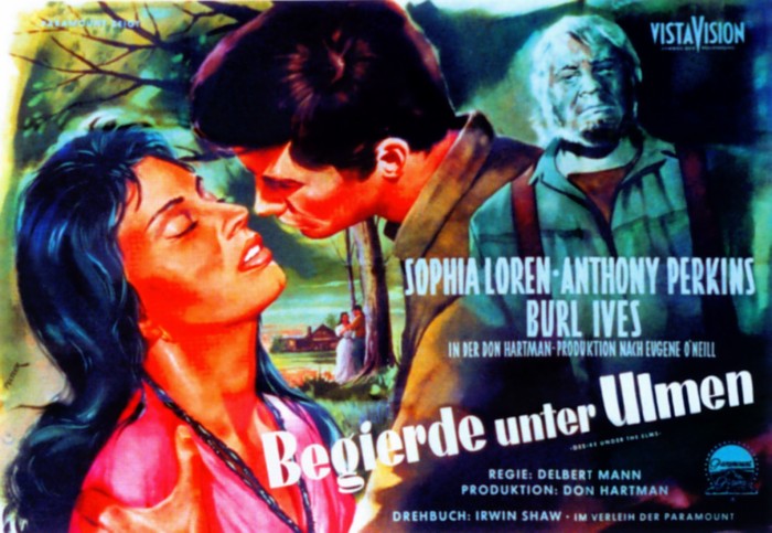 Plakat zum Film: Begierde unter Ulmen