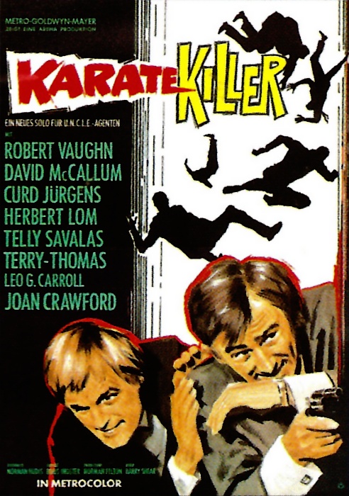 Plakat zum Film: Karate Killer
