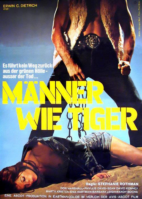 Plakat zum Film: Männer wie Tiger