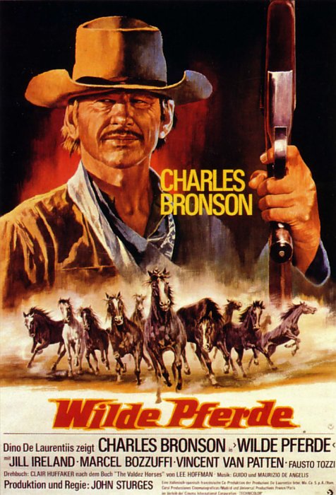 Plakat zum Film: Wilde Pferde
