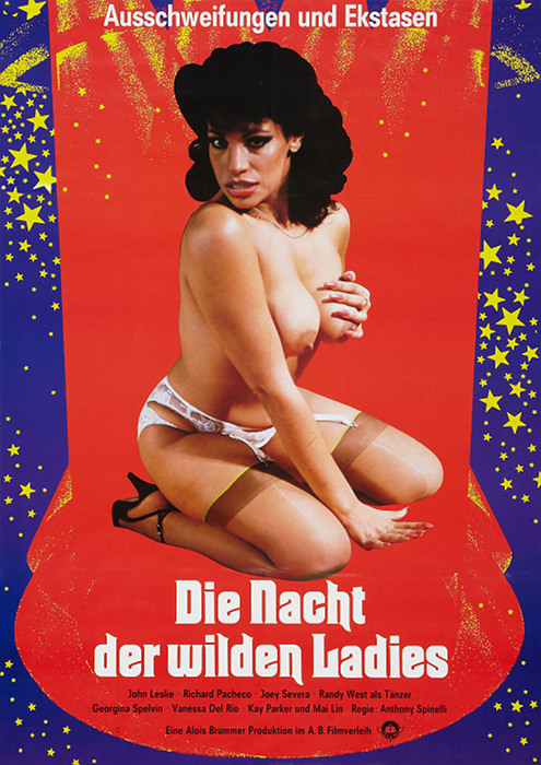 Plakat zum Film: Nacht der wilden Ladies, Die
