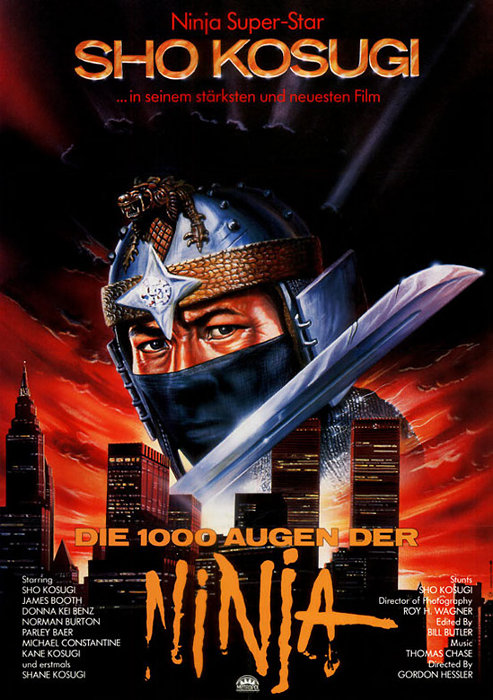 Plakat zum Film: 1000 Augen der Ninja, Die