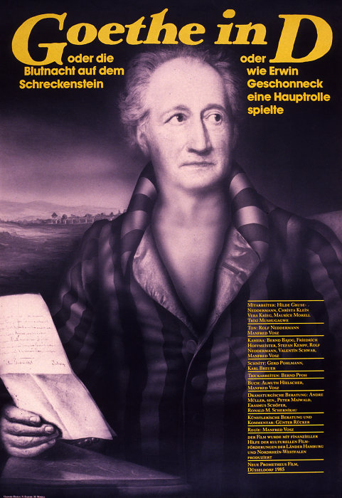 Plakat zum Film: Goethe in D.
