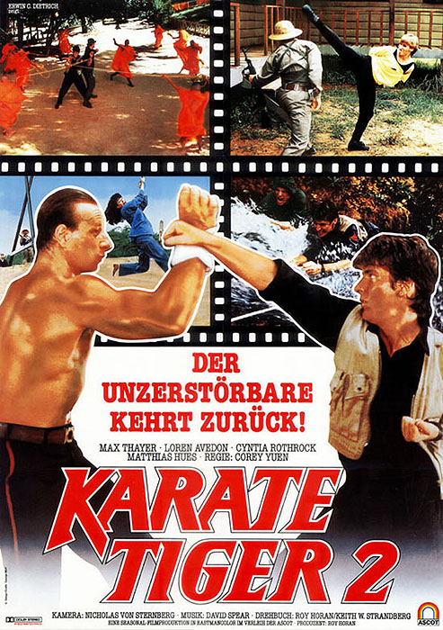 Plakat zum Film: Karate Tiger 2 - Der Unzerstörbare kehrt zurück