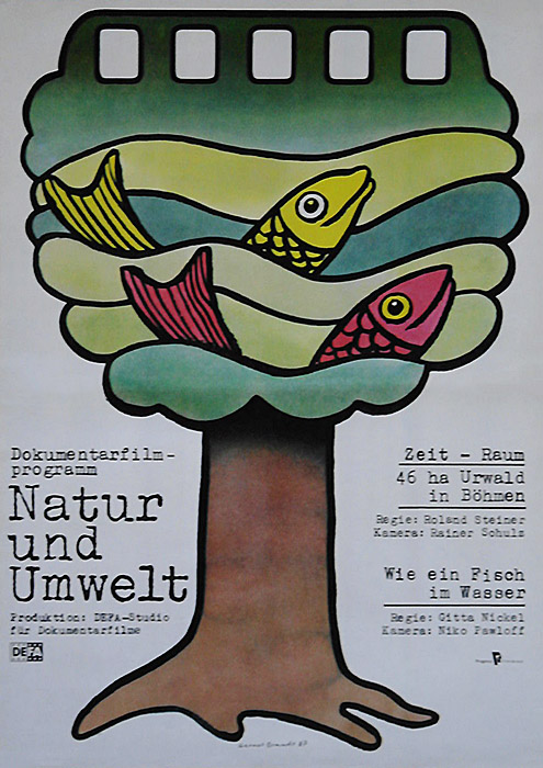 Plakat zum Film: Zeit-Raum - 46 ha Urwald in Böhmen