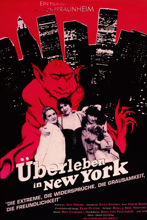 Plakat zum Film: Überleben in New York