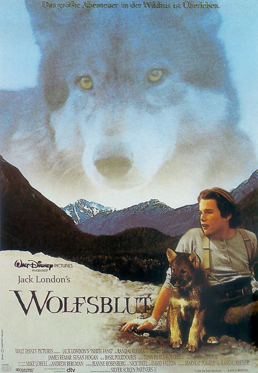 Plakat zum Film: Wolfsblut