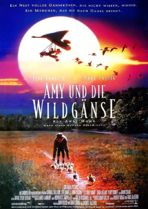 Plakat zum Film: Amy und die Wildgänse