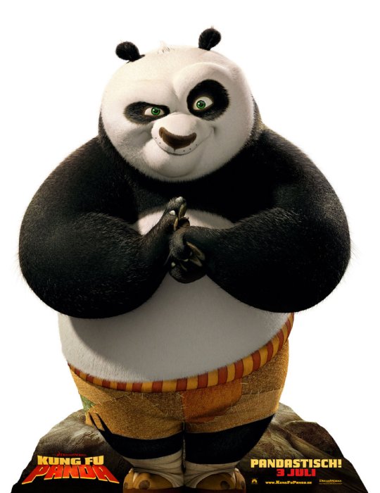Plakat zum Film: Kung Fu Panda