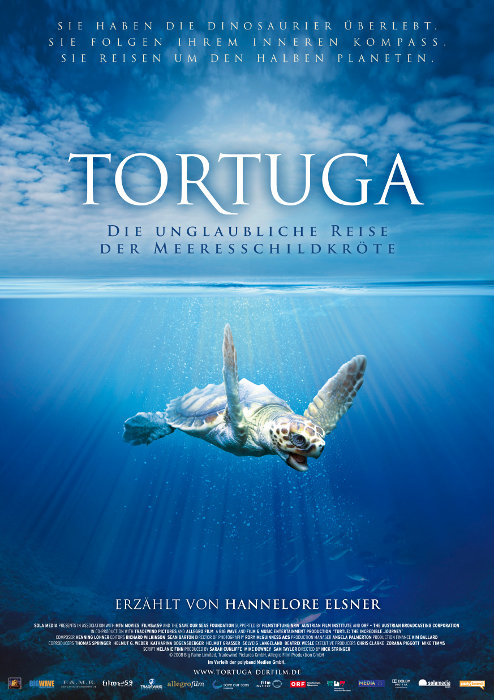 Plakat zum Film: Tortuga - Die unglaubliche Reise der Meeresschildkröte