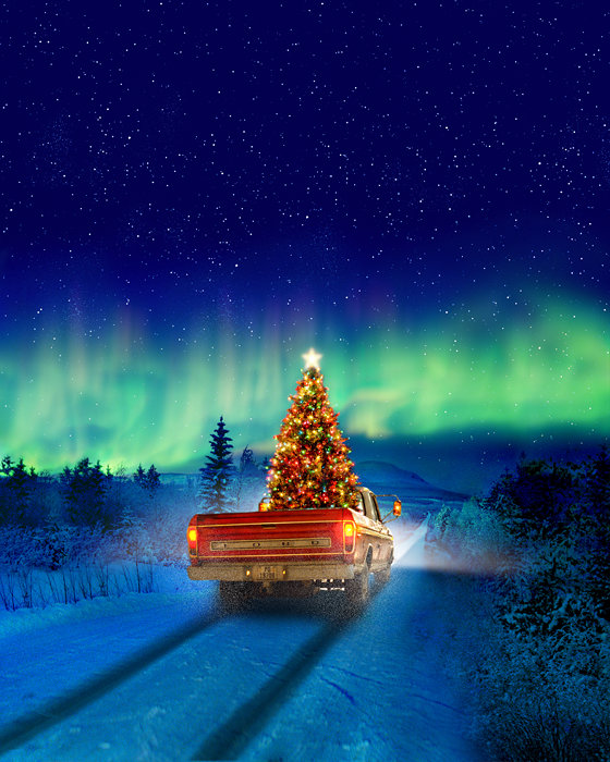 Plakat zum Film: Home for ChristmasHome for Christmas