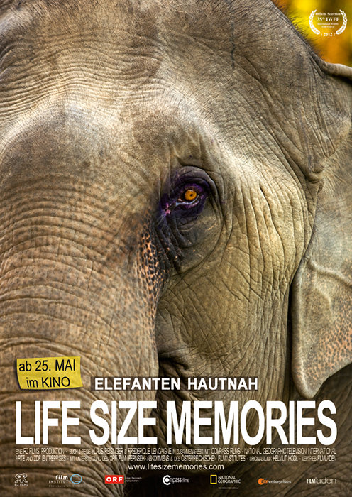 Plakat zum Film: Life Size Memories