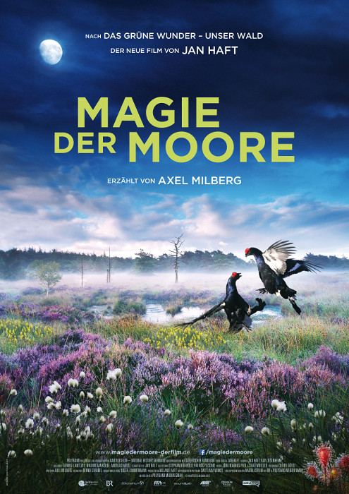 Plakat zum Film: Magie der Moore