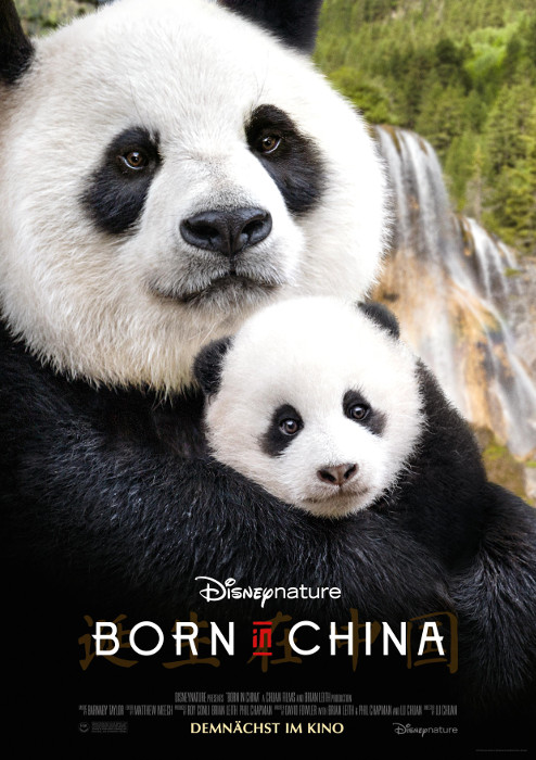 Plakat zum Film: Born in China