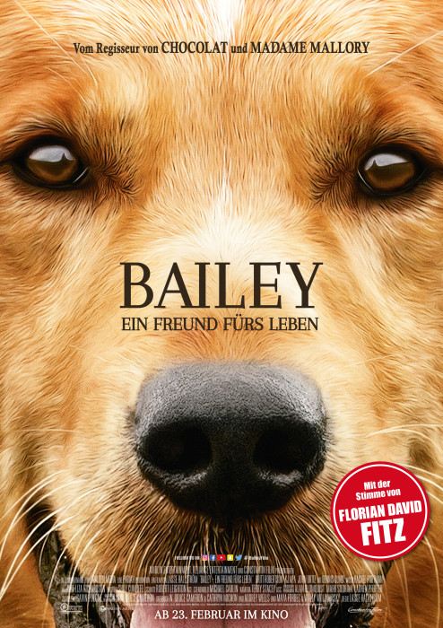 Plakat zum Film: Bailey - Ein Freund fürs Leben