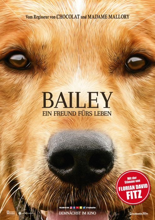 Plakat zum Film: Bailey - Ein Freund fürs Leben