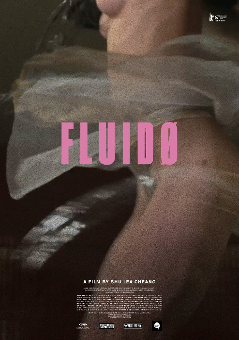 Plakat zum Film: Fluidø