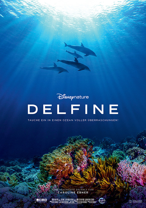 Plakat zum Film: Delfine - Tauche ein in einen Ozean voller Überraschungen!