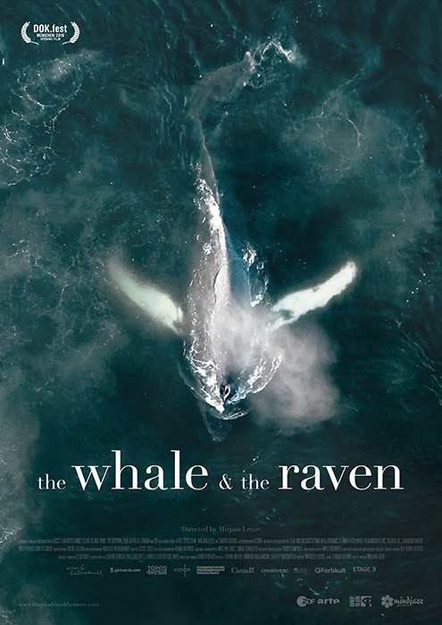 Plakat zum Film: Whale and the Raven, The