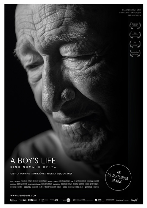 Plakat zum Film: Boy's Life, A - Kind Nummer B2826