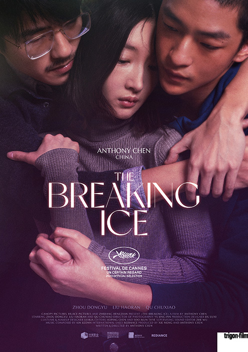 Plakat zum Film: Breaking Ice, The