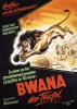 Bwana, der Teufel