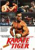 Filmplakat Karate Tiger - Der letzte Kampf