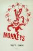Filmplakat 12 Monkeys