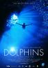 Filmplakat Dolphins