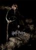 Filmplakat Harry Potter und der Feuerkelch