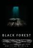 Filmplakat Black Forest