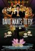 Filmplakat David Wants to Fly - Ein yogisches Abenteuer