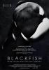 Filmplakat Blackfish