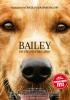 Filmplakat Bailey - Ein Freund fürs Leben