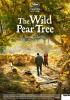 Filmplakat Wild Pear Tree, The