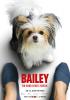 Filmplakat Bailey - Ein Hund kehrt zurück