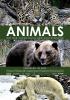 Filmplakat Animals