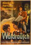 Filmplakat Waldrausch