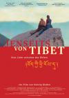 Filmplakat Jenseits von Tibet - Eine Liebe zwischen den Welten
