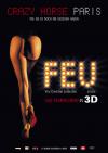 Filmplakat Feu (Feuer) 3D