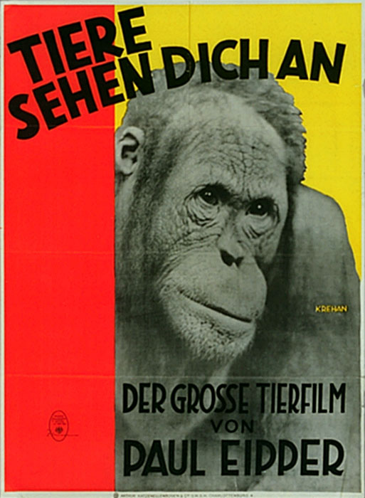 Plakat zum Film: Tiere sehen dich an