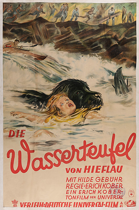 Plakat zum Film: Wasserteufel von Hieflau, Die