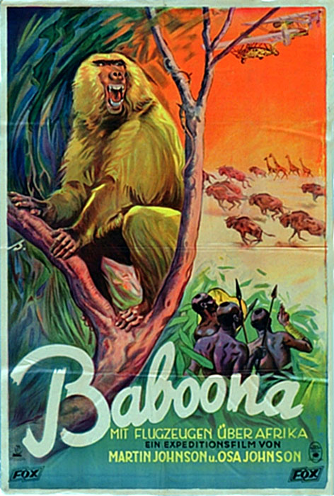 Plakat zum Film: Baboona