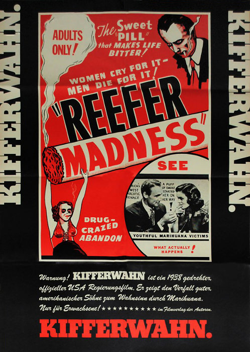 Plakat zum Film: Kifferwahn