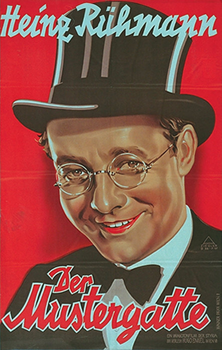 Plakat zum Film: Mustergatte, Der