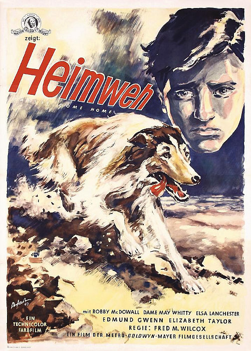 Plakat zum Film: Heimweh