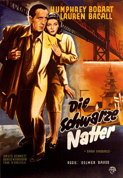 Plakat zum Film: schwarze Natter, Die